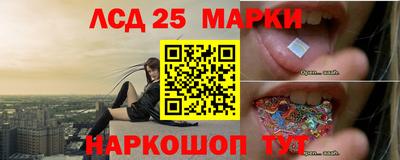 стаф Кинель