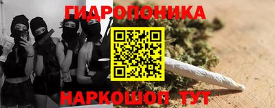 стаф Кинель