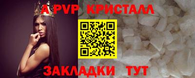 стаф Кинель