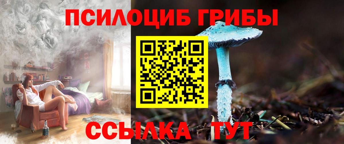 Псилоцибиновые грибы мухоморы  Псилоцибиновые грибы мухоморы  Вход с VPN  Чита 